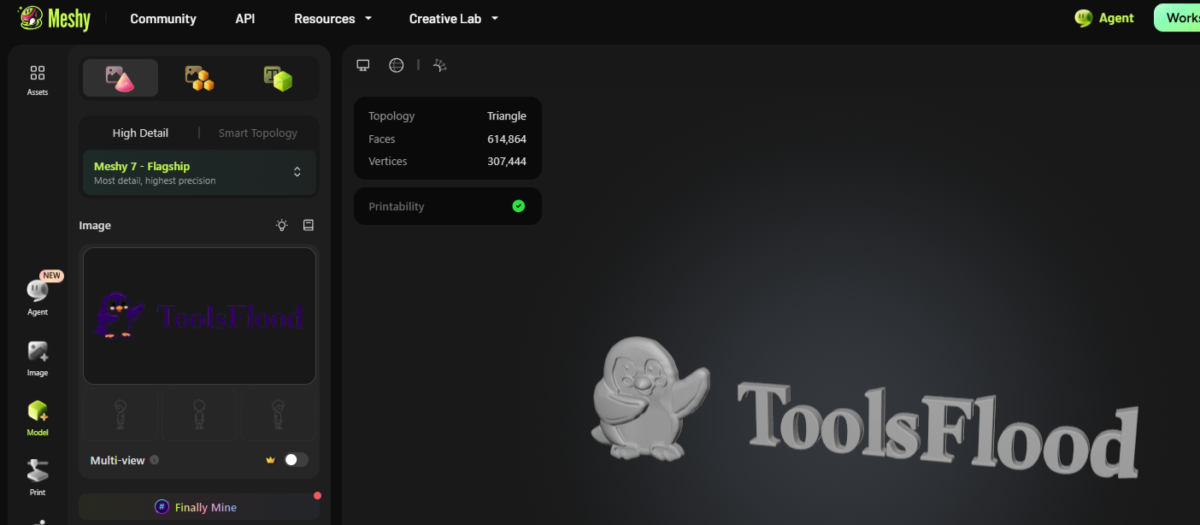 Meshy AI tool test results screenshot
